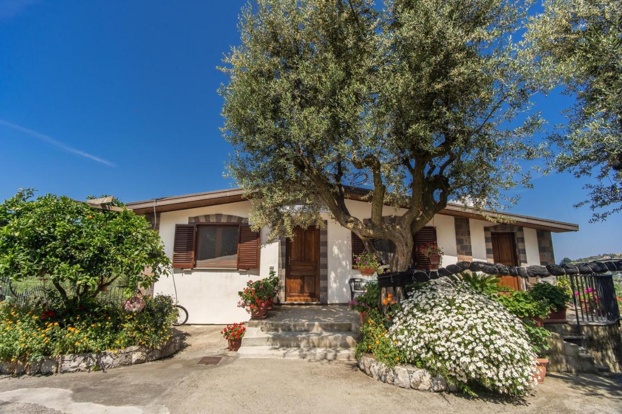 Villa Mattia In The Land Of Sirens Sant'Agata sui due Golfi Ngoại thất bức ảnh